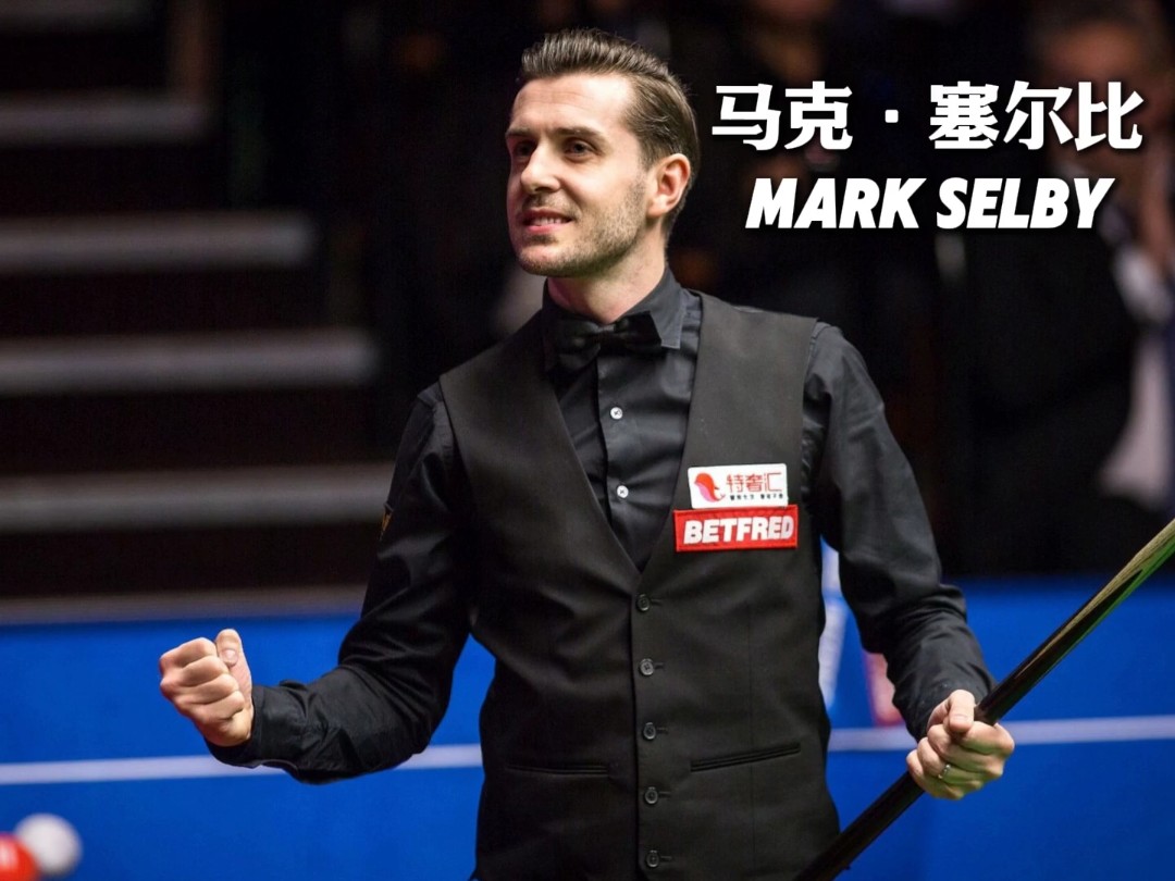 他职业生涯 他职业生涯