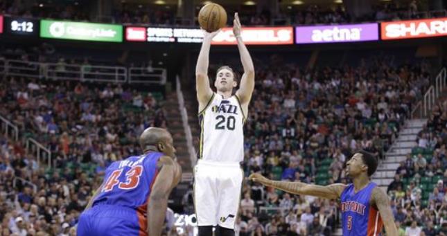 灰熊若无法 灰熊若无法