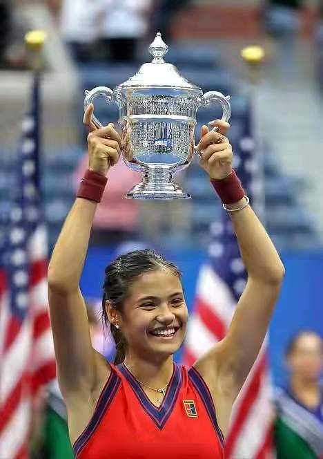 的技术征服 的技术征服