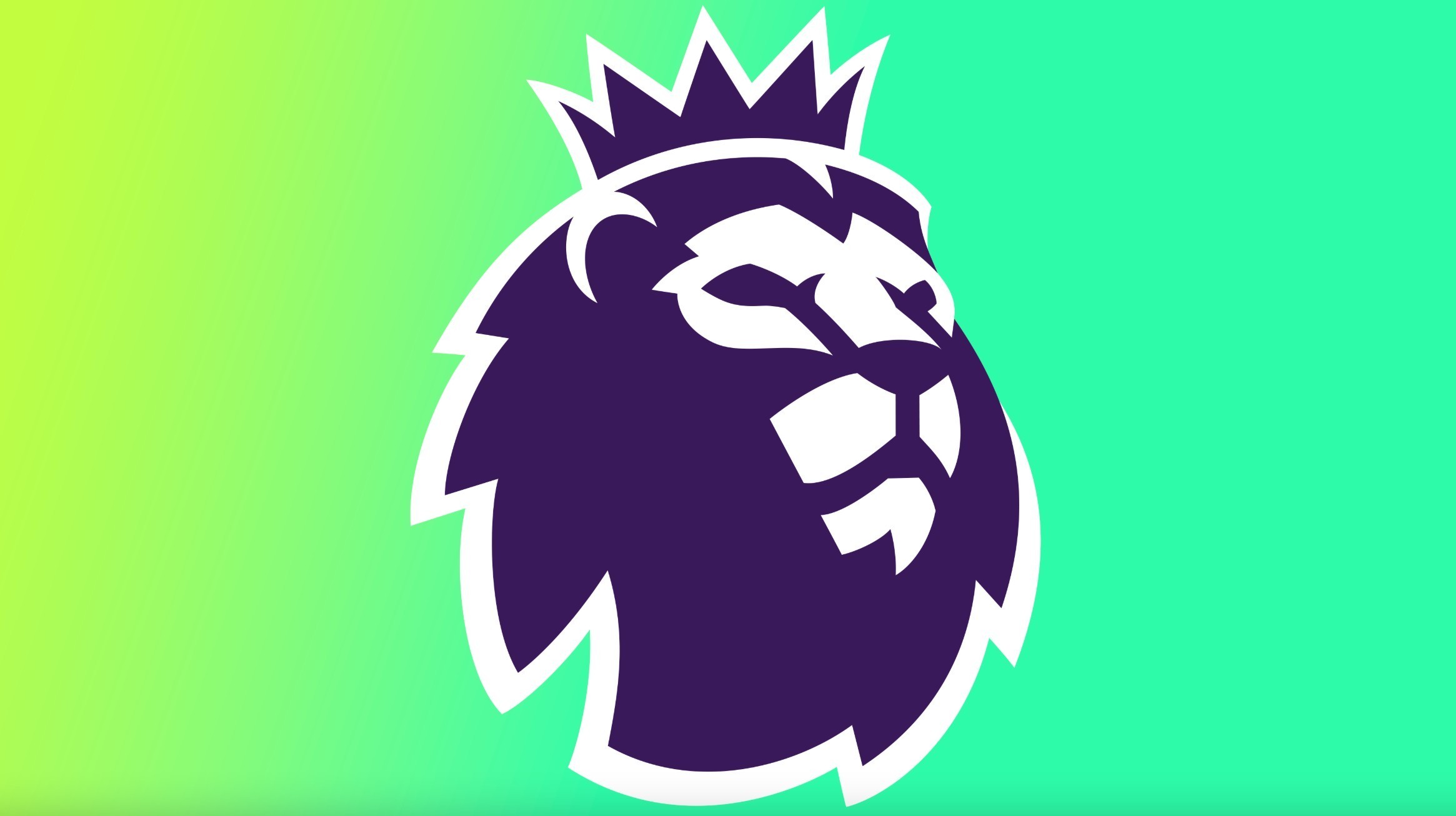 了一定的影 了一定的影