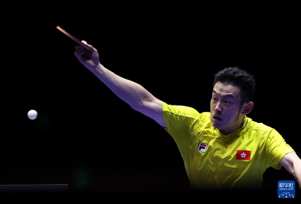 和多样性 和多样性