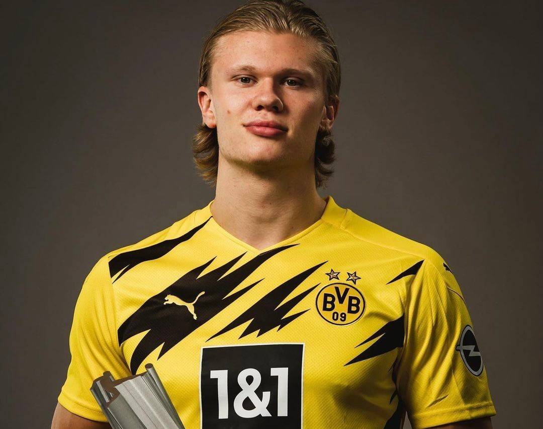 球迷而言 球迷而言