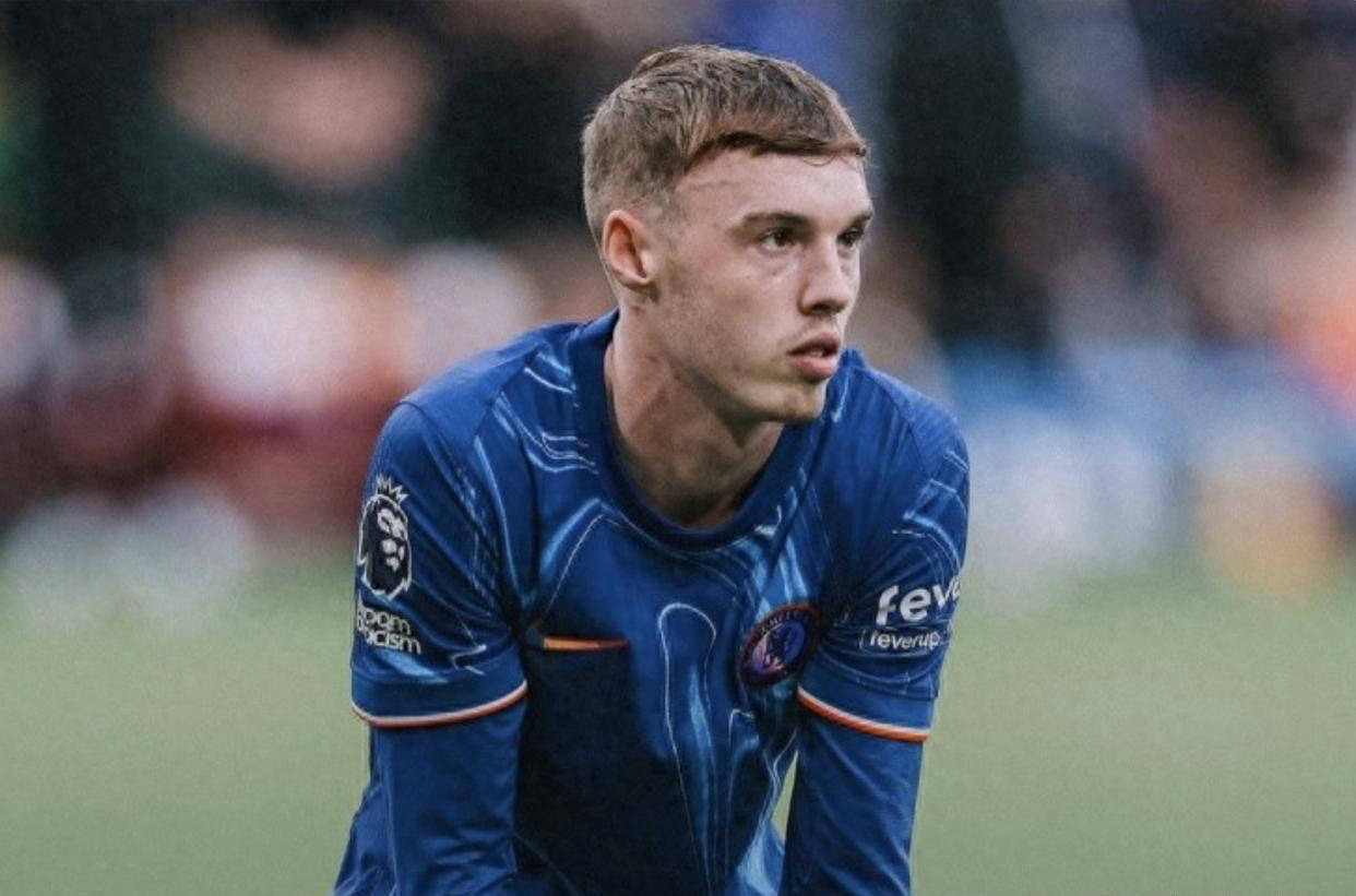 保护与脆弱 保护与脆弱