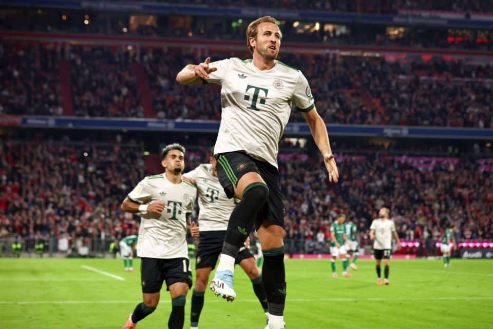 确立竞技地 确立竞技地